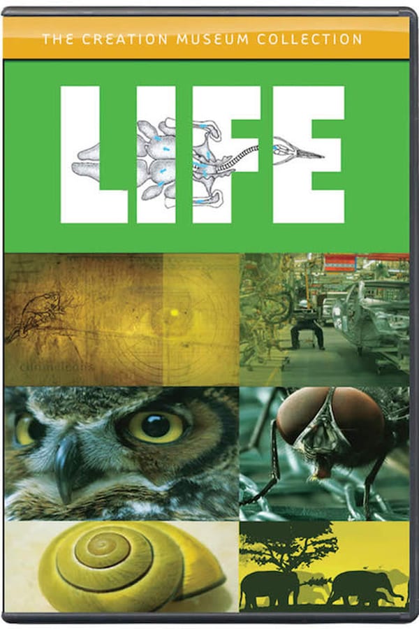 Cover of the movie Life