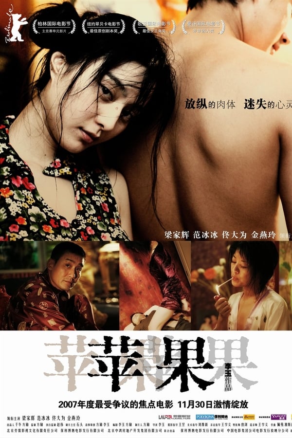 Cover of the movie Lost in Beijing