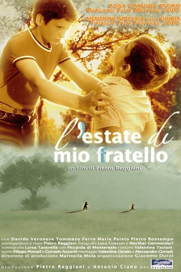 Cover of the movie My Brother's Summer