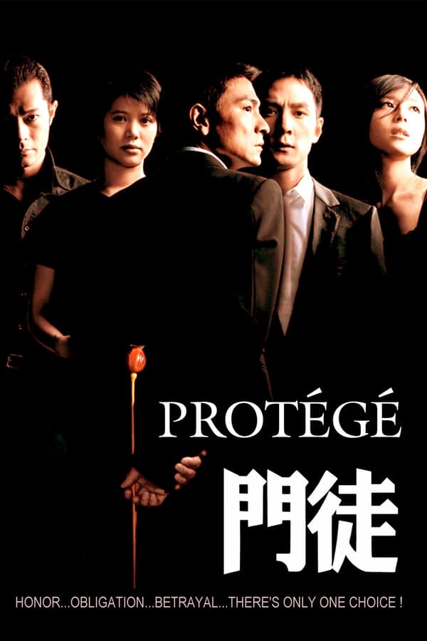 Cover of the movie Protégé