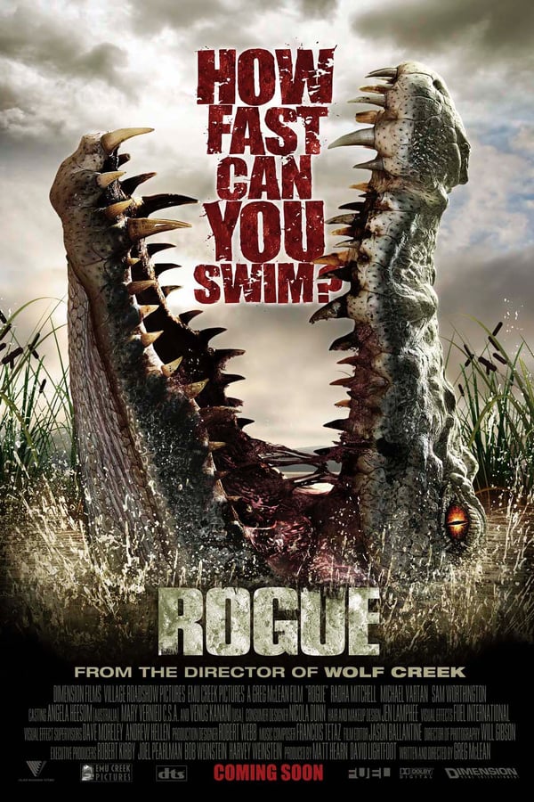 Cover of the movie Rogue
