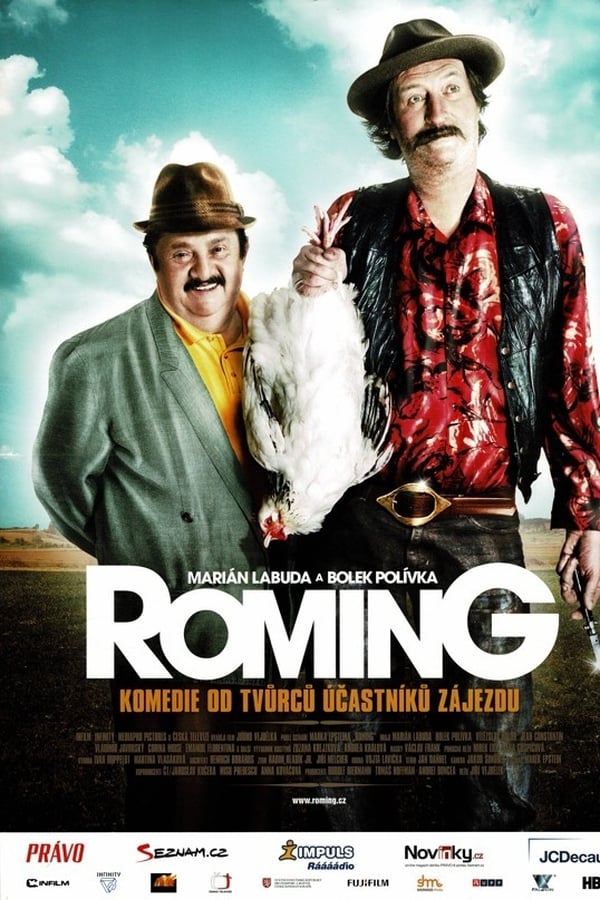 Cover of the movie ROMing