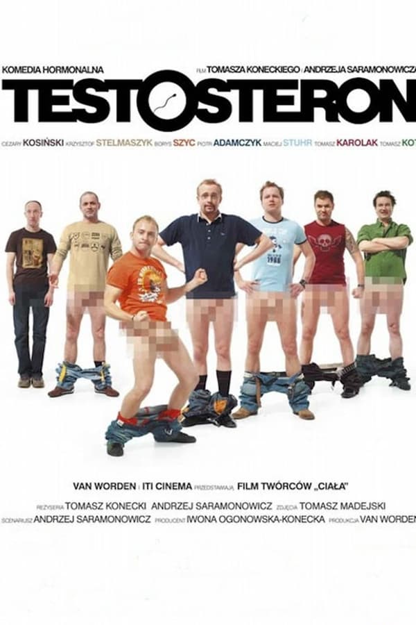 Cover of the movie Testosteron