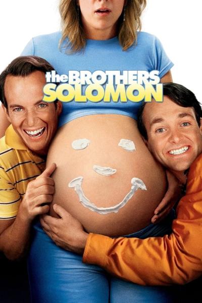 Cover of the movie The Brothers Solomon
