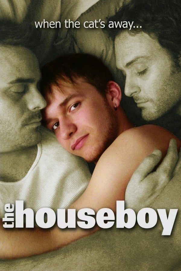 Cover of the movie The Houseboy
