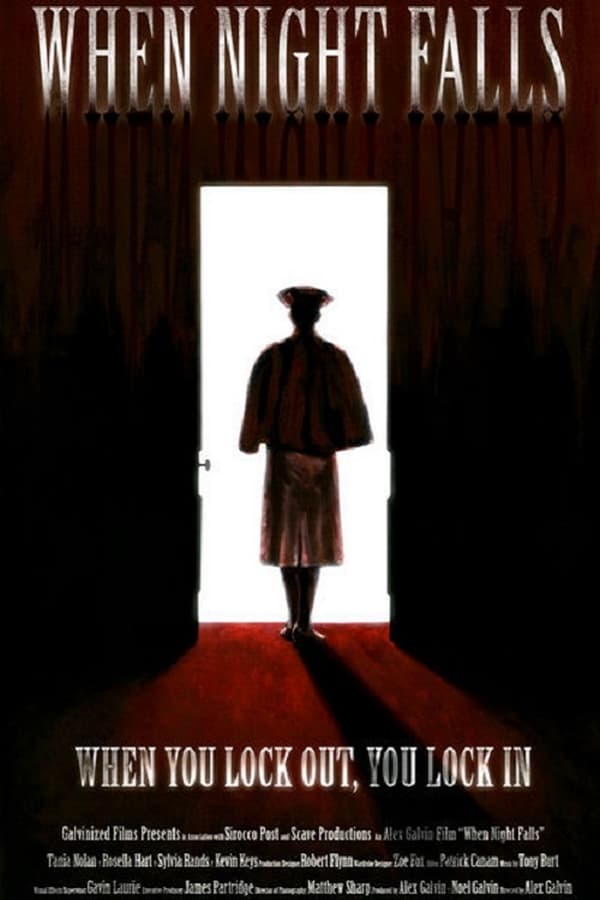 Cover of the movie When Night Falls