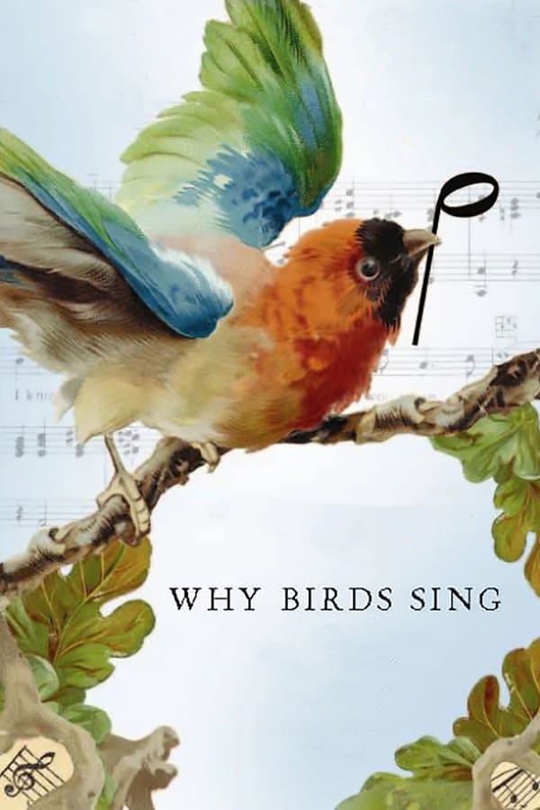 Cover of the movie Why Birds Sing