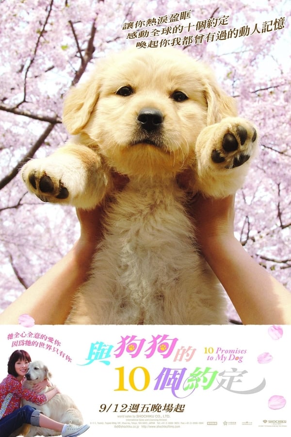 Cover of the movie 10 Promises to My Dog