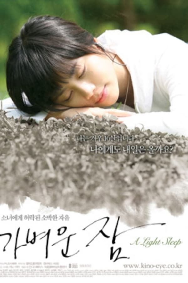 Cover of the movie A Light Sleep