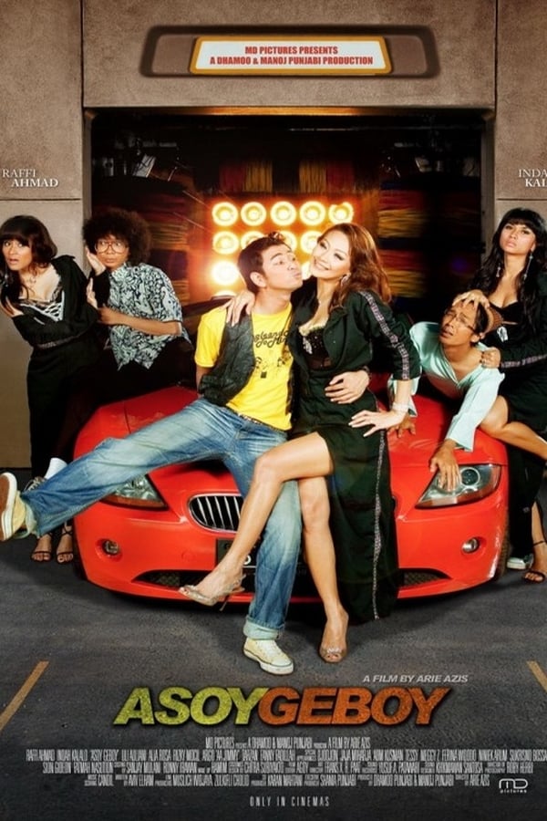 Cover of the movie Asoy Geboy