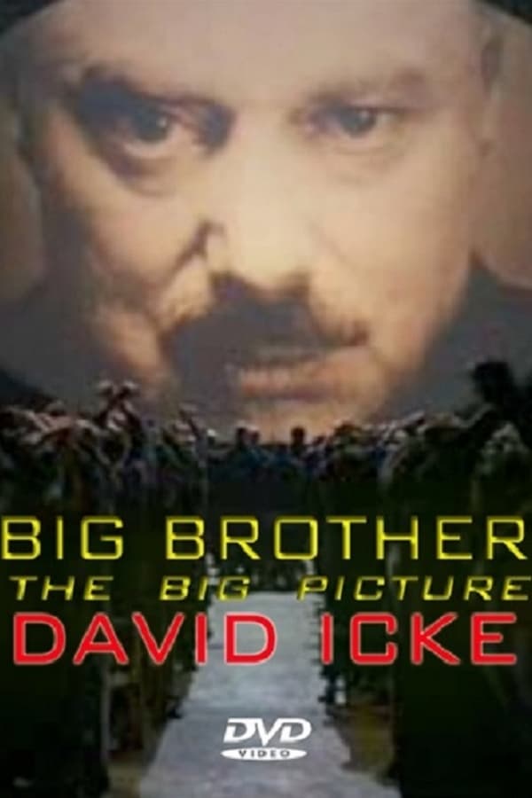 Cover of the movie Big Brother: The Big Picture