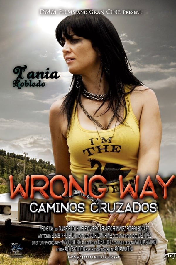 Cover of the movie Caminos Cruzados