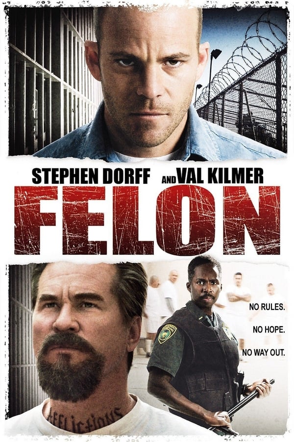 Cover of the movie Felon