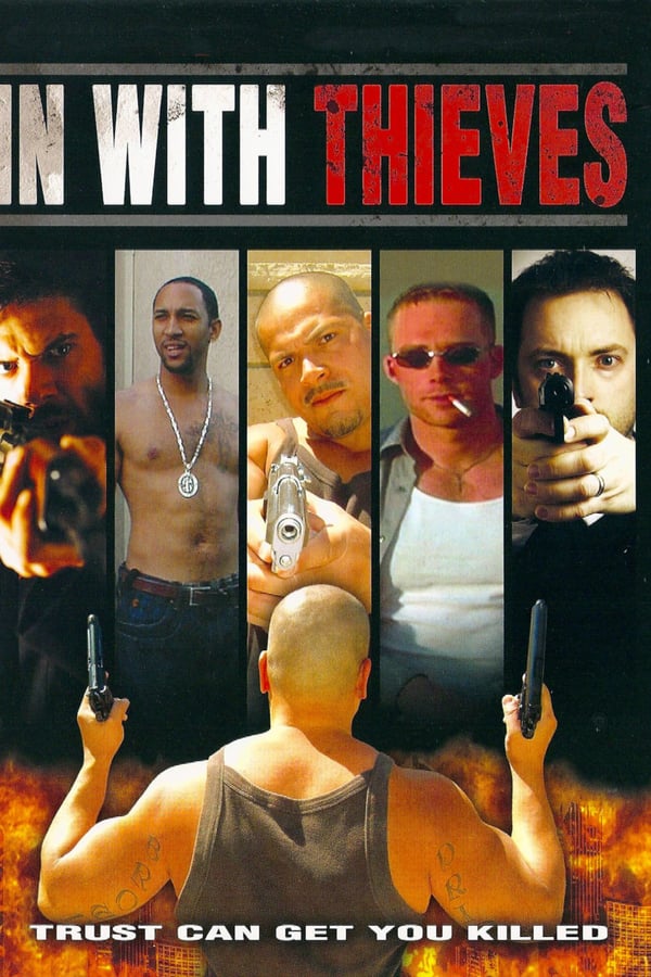 Cover of the movie In with Thieves