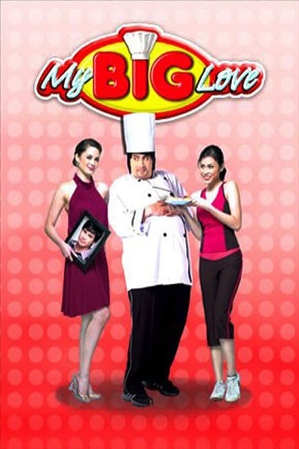 Cover of the movie My Big Love