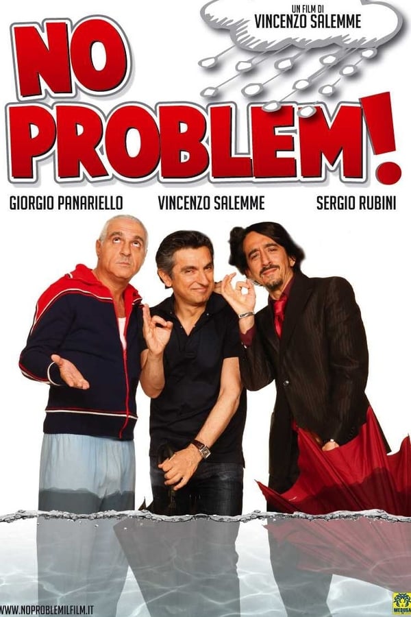 Cover of the movie No problem