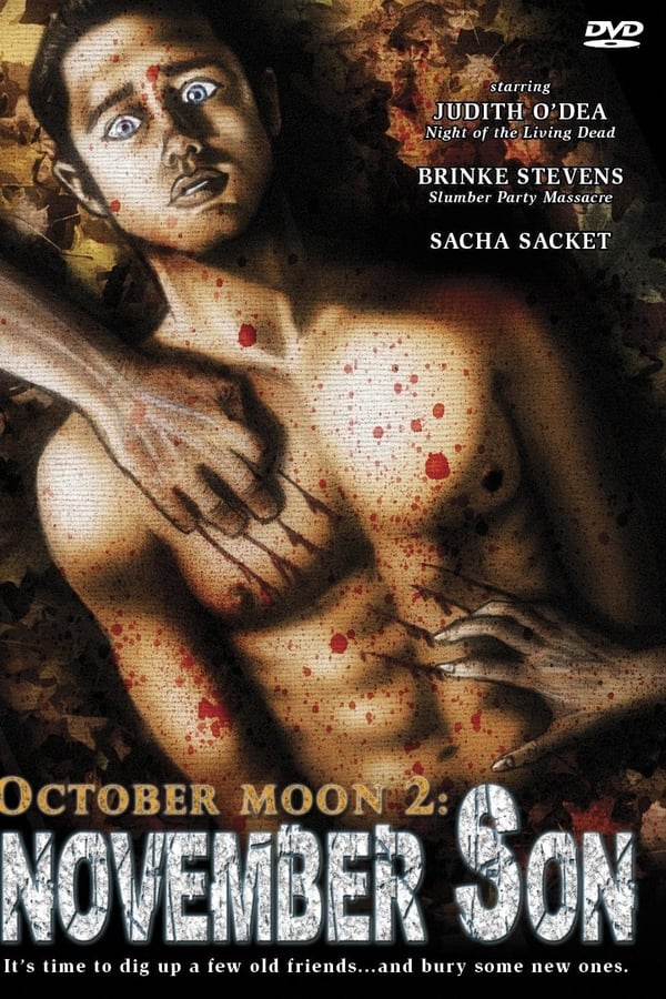Cover of the movie October Moon 2: November Son