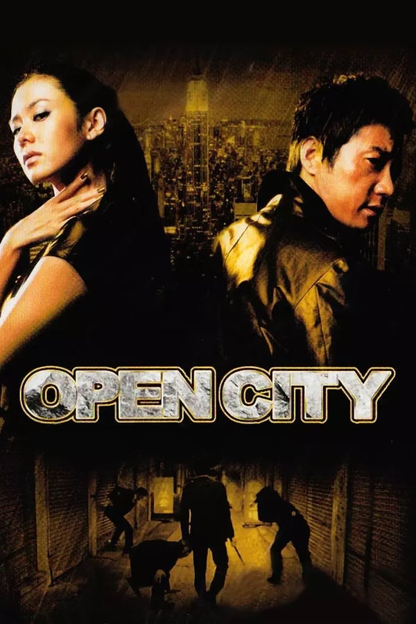 Cover of the movie Open City