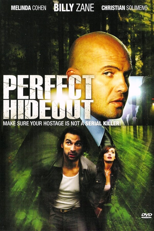 Cover of the movie Perfect Hideout