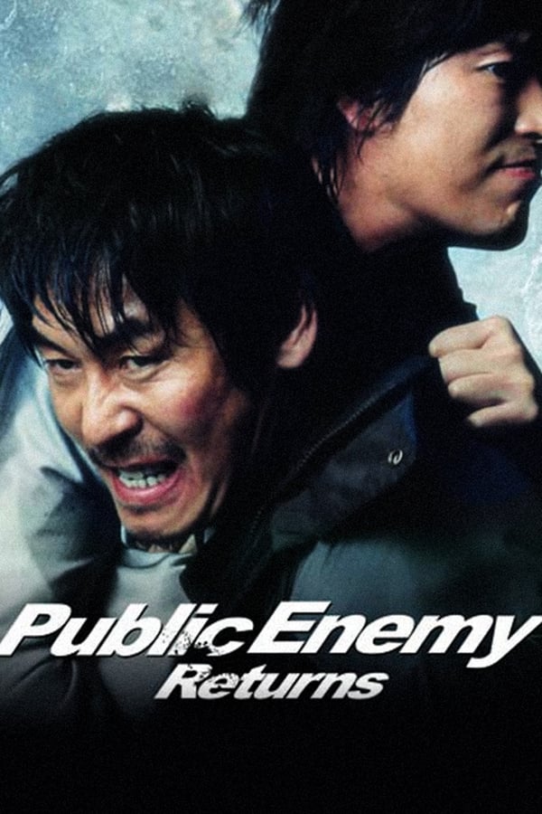 Cover of the movie Public Enemy Returns