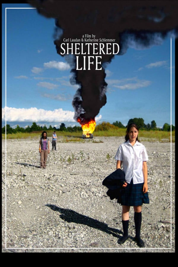 Cover of the movie Sheltered Life