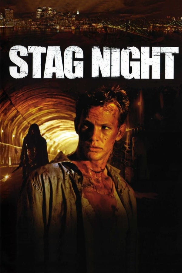 Cover of the movie Stag Night