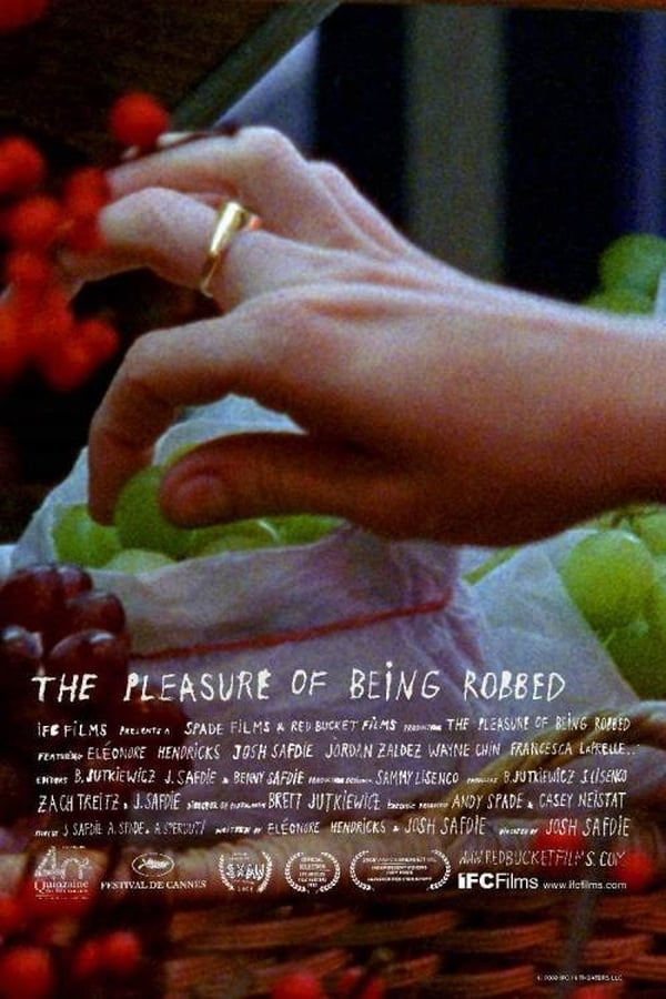 Cover of the movie The Pleasure of Being Robbed