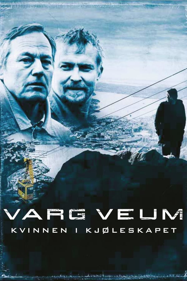 Cover of the movie Varg Veum - Woman in the Fridge