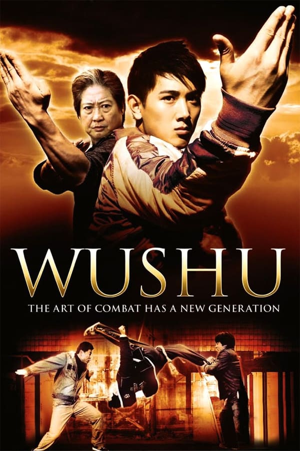 Cover of the movie Wushu
