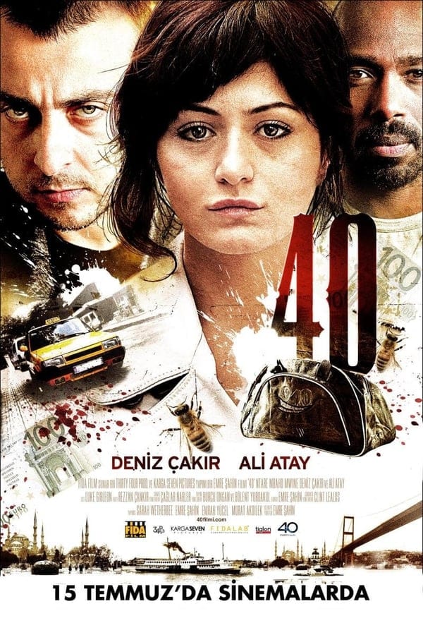 Cover of the movie 40