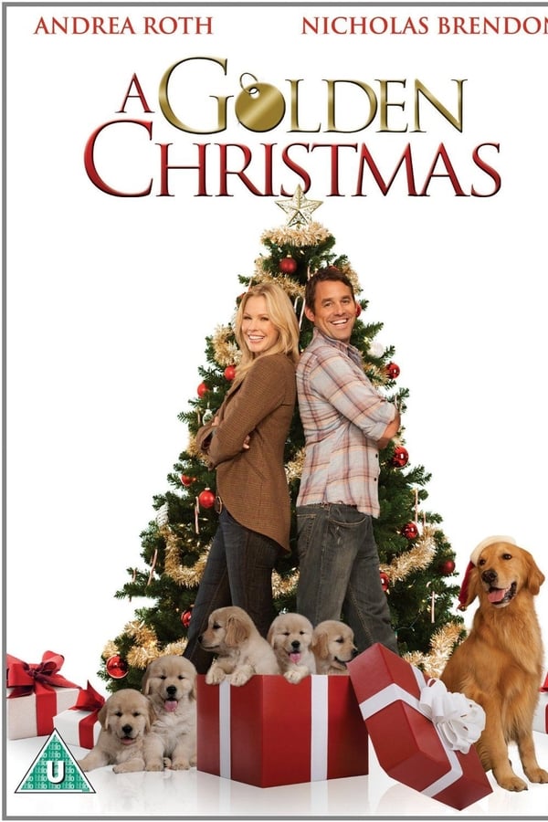 Cover of the movie A Golden Christmas