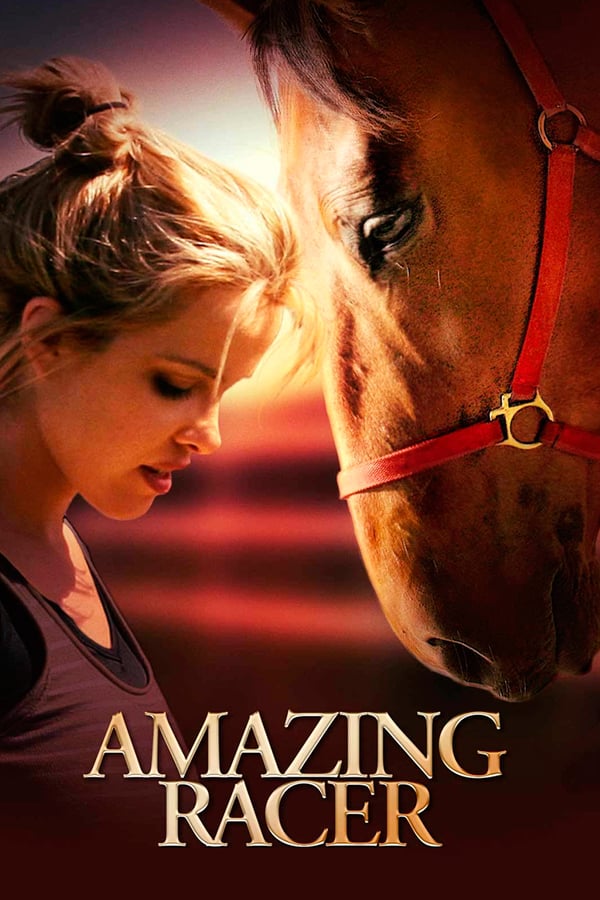 Cover of the movie Amazing Racer