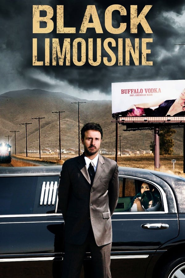 Cover of the movie Black Limousine