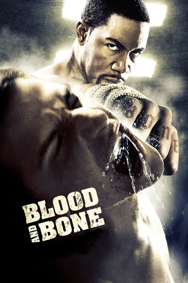 Cover of the movie Blood and Bone