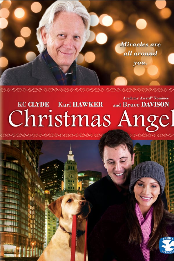 Cover of the movie Christmas Angel