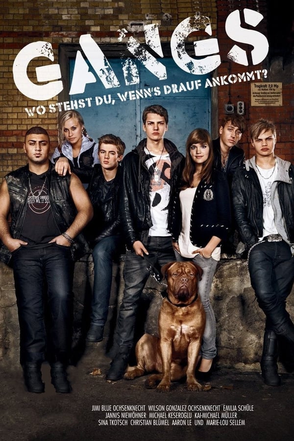 Cover of the movie Gangs