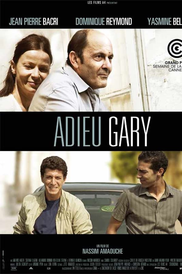 Cover of the movie Goodbye Gary