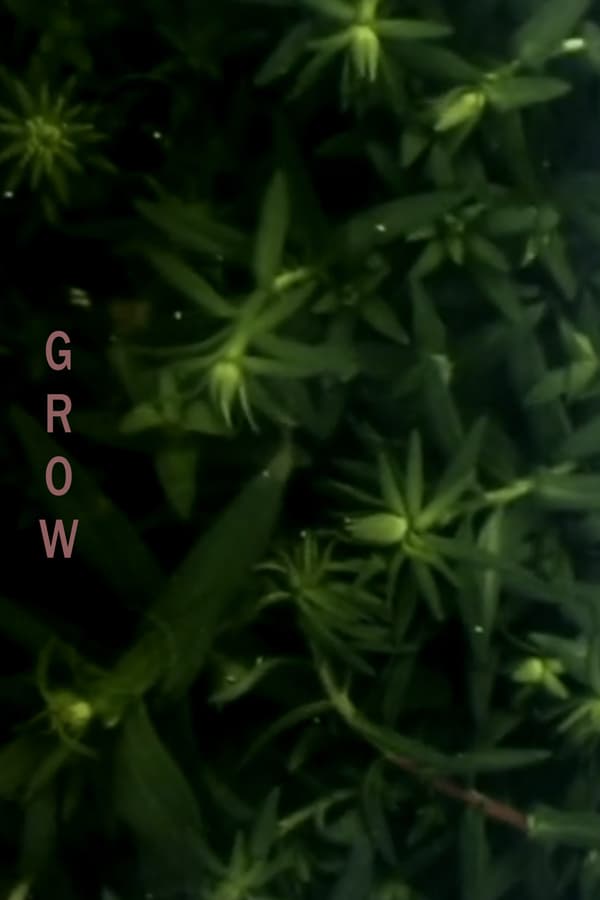 Cover of the movie Grow