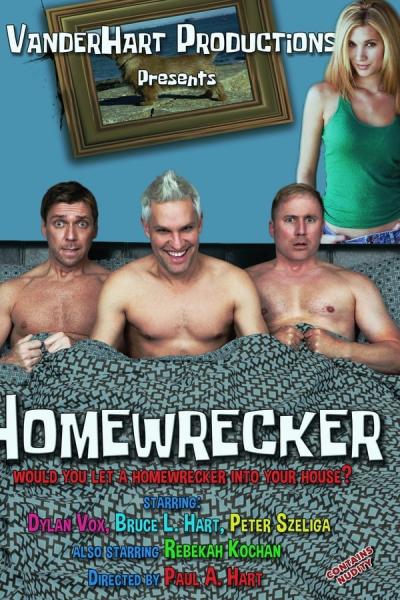 Cover of the movie Homewrecker