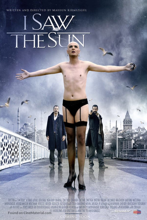 Cover of the movie I Saw the Sun