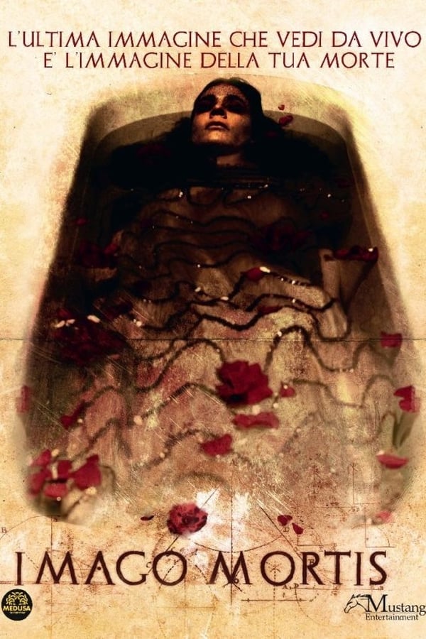 Cover of the movie Imago mortis