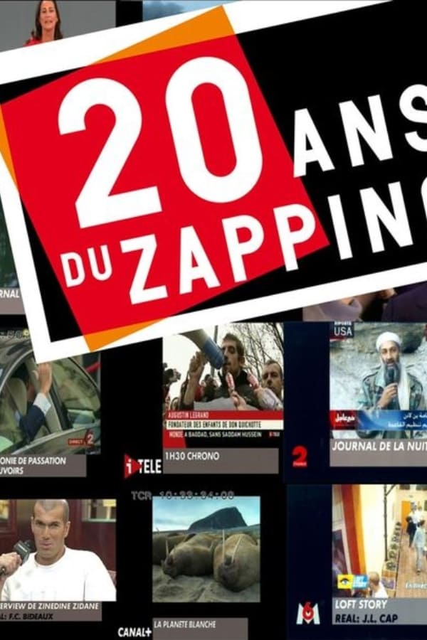Cover of the movie Les 20 ans du Zapping : 1989-2009