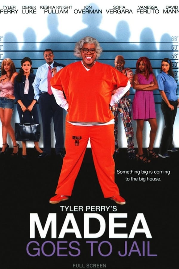 Cover of the movie Madea Goes to Jail