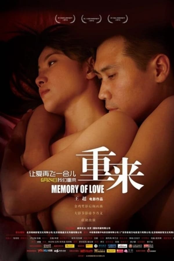 Cover of the movie Memory of Love
