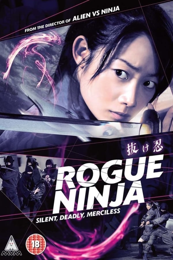 Cover of the movie Rogue Ninja