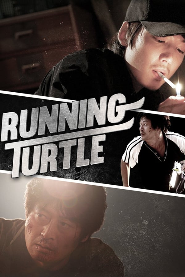 Cover of the movie Running Turtle