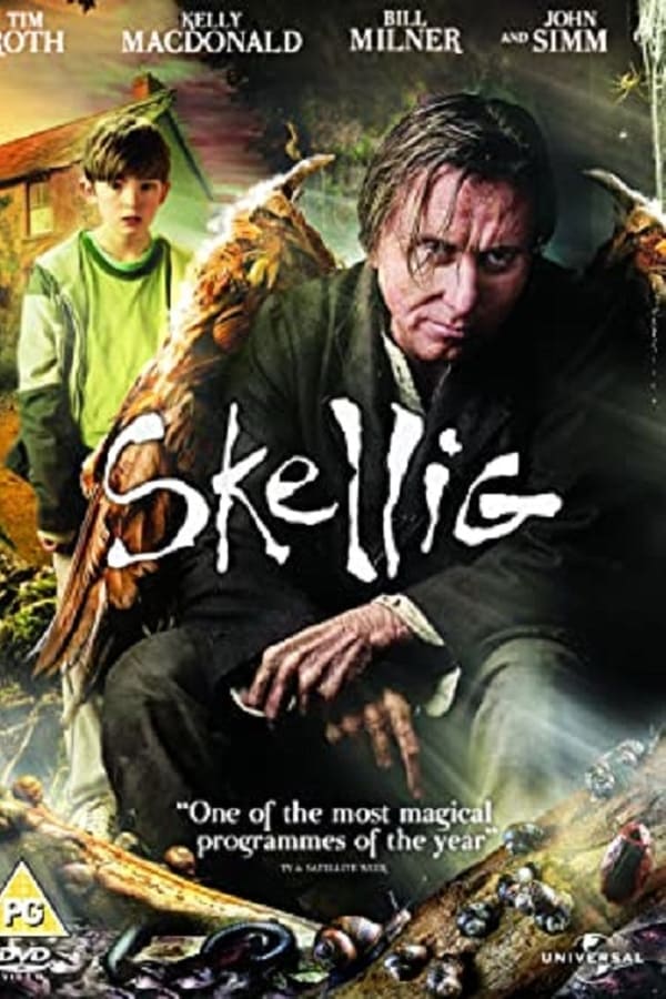 Cover of the movie Skellig