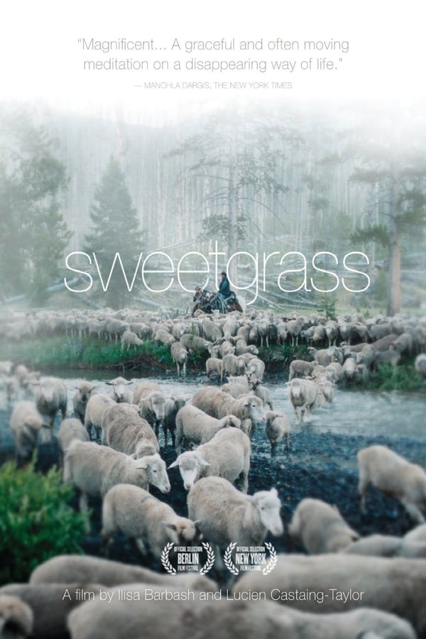 Cover of the movie Sweetgrass