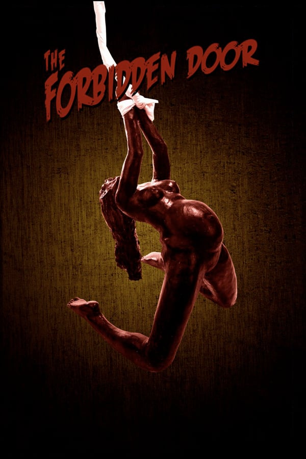 Cover of the movie The Forbidden Door