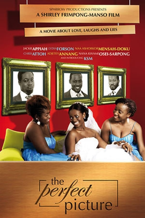 Cover of the movie The Perfect Picture